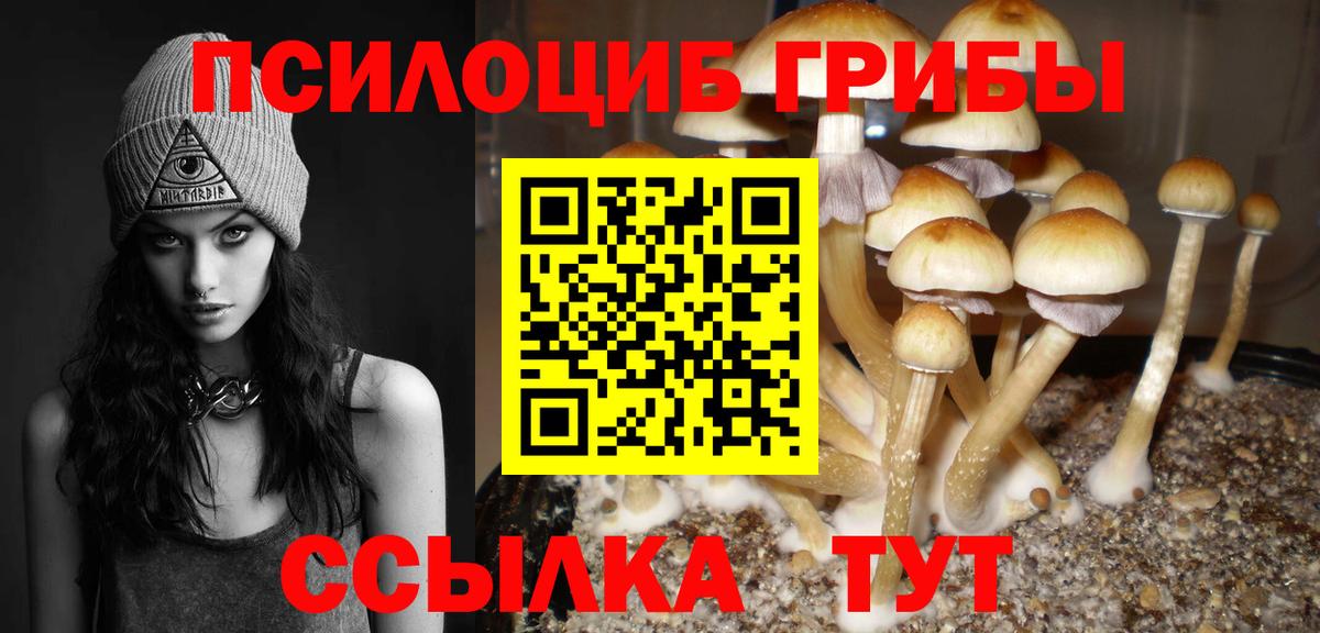 Псилоцибиновые грибы Psilocybine cubensis Сергиев Посад